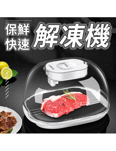 負氧離子 解凍機 解凍神器 保鮮 快速 食材 肉品 海鮮 食物 快速解凍 霧化 化凍盤 化凍機